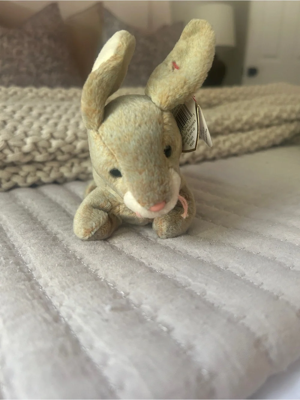 Ty Beanie Baby Nibbly the Bunny Rabbit Plush DOB May 7, 1998 w/ Tag